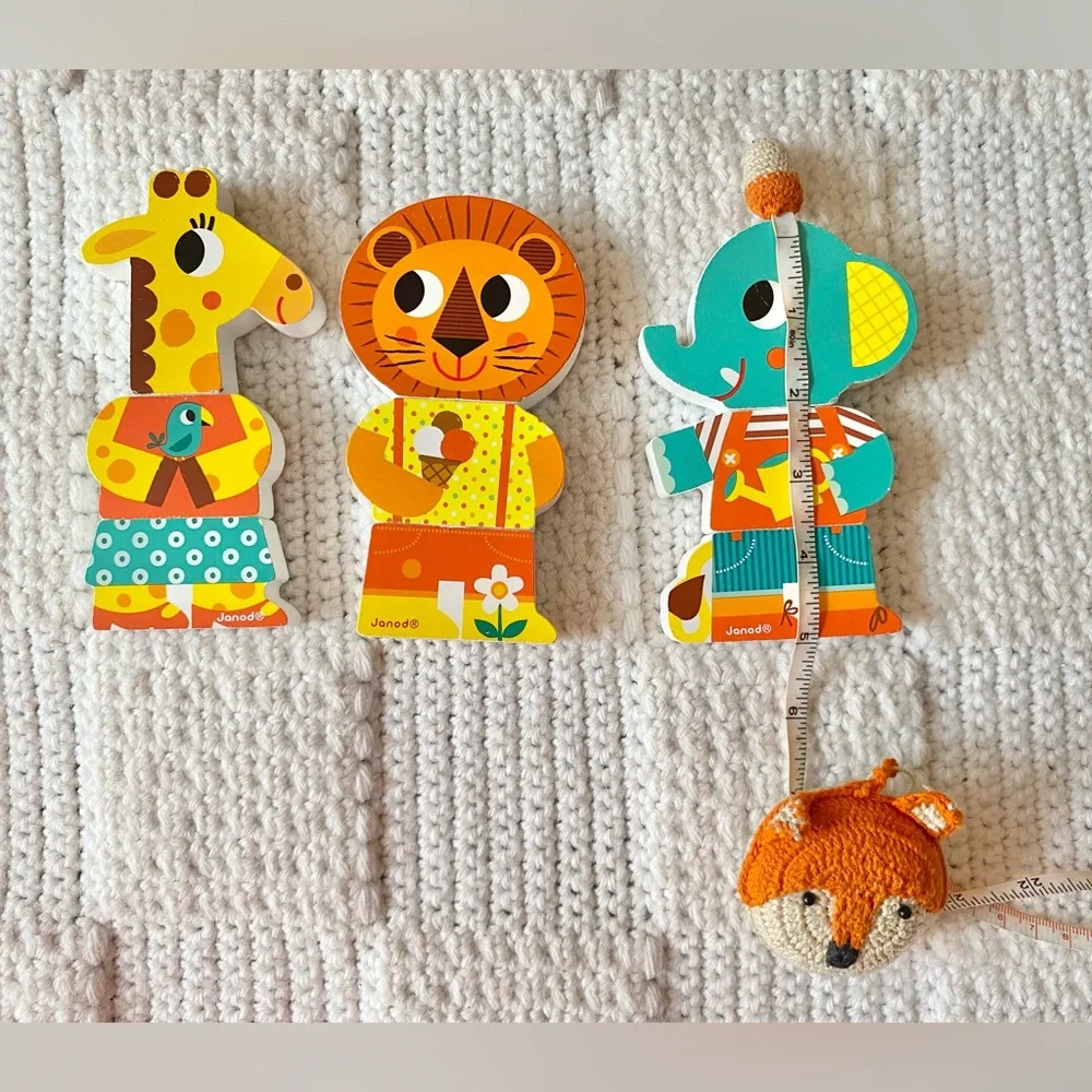 Janod Wooden Magnetic Toy